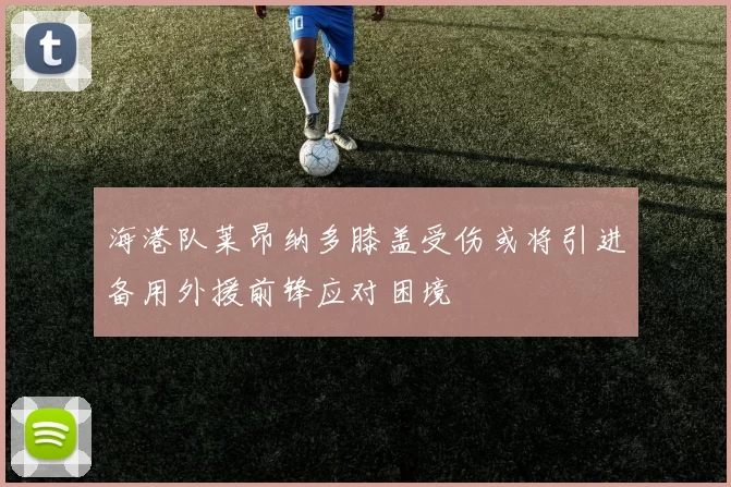 海港队莱昂纳多膝盖受伤或将引进备用外援前锋应对困境